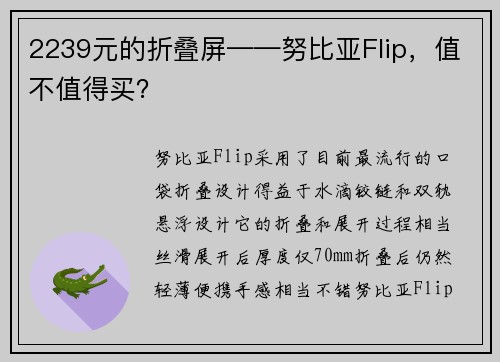 2239元的折叠屏——努比亚Flip,值不值得买?