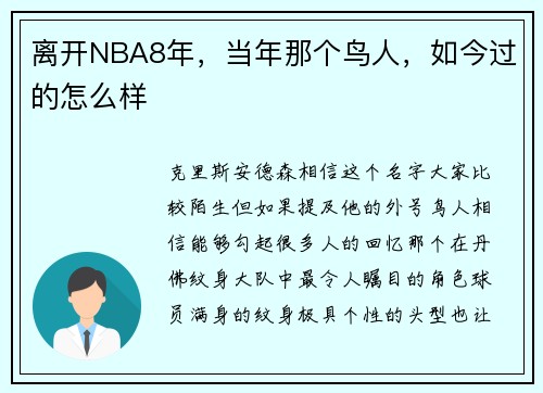 离开NBA8年，当年那个鸟人，如今过的怎么样
